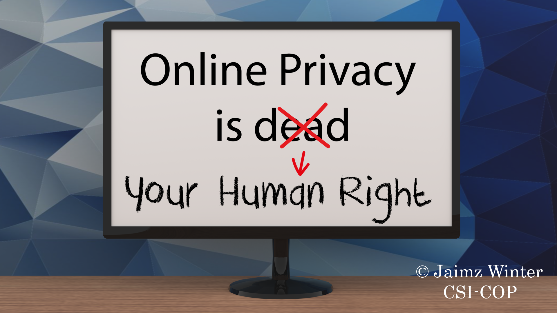 Online privacy is your human right